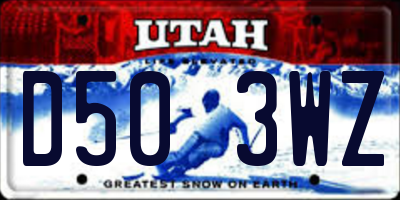 UT license plate D503WZ