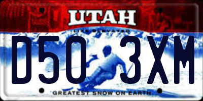 UT license plate D503XM