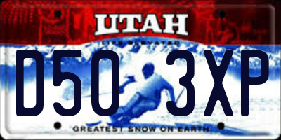 UT license plate D503XP
