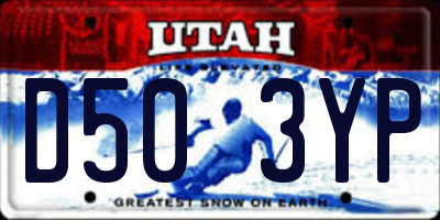 UT license plate D503YP