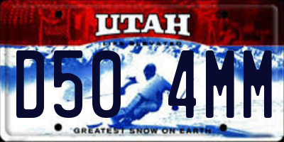 UT license plate D504MM
