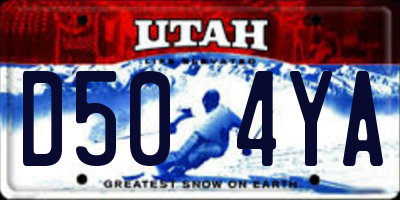 UT license plate D504YA