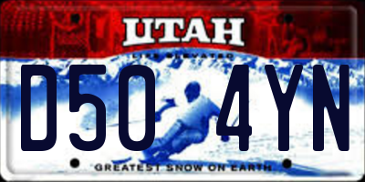 UT license plate D504YN