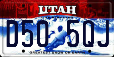 UT license plate D505QJ