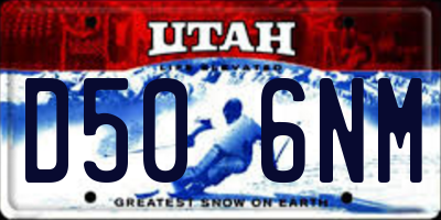 UT license plate D506NM