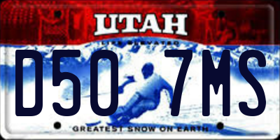 UT license plate D507MS