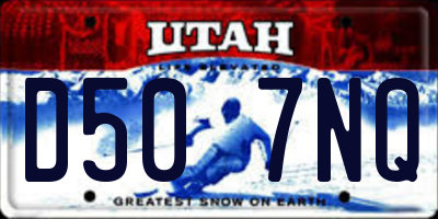 UT license plate D507NQ
