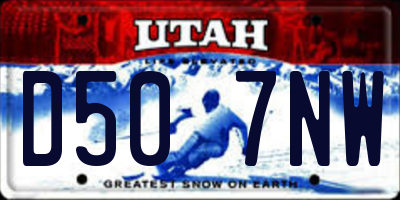 UT license plate D507NW