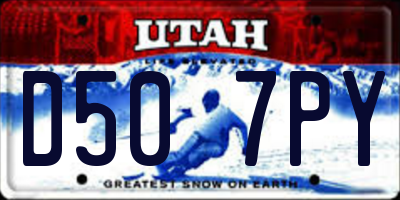 UT license plate D507PY