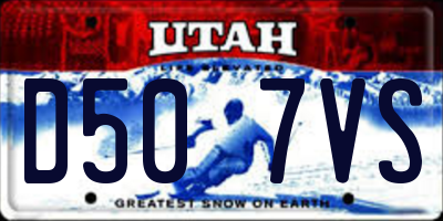 UT license plate D507VS