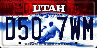 UT license plate D507WM