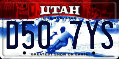 UT license plate D507YS