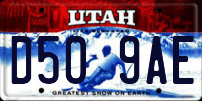 UT license plate D509AE