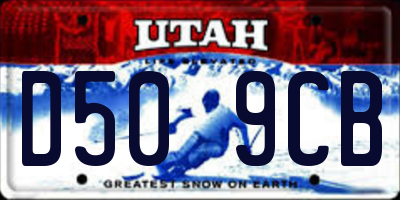 UT license plate D509CB