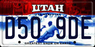UT license plate D509DE