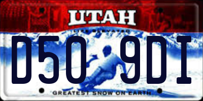 UT license plate D509DI