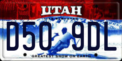 UT license plate D509DL