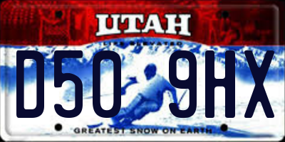 UT license plate D509HX