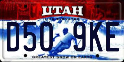 UT license plate D509KE