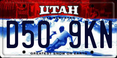 UT license plate D509KN