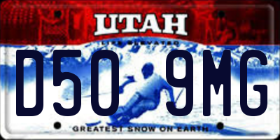 UT license plate D509MG