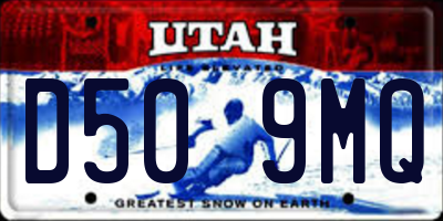 UT license plate D509MQ