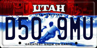 UT license plate D509MU