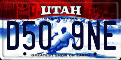 UT license plate D509NE