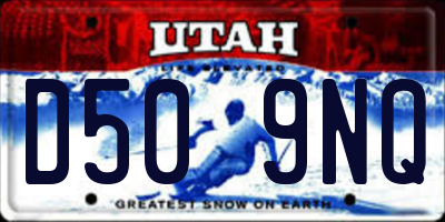 UT license plate D509NQ