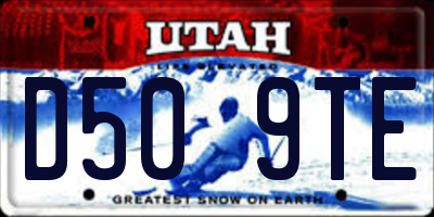 UT license plate D509TE