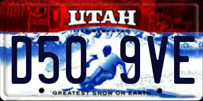 UT license plate D509VE