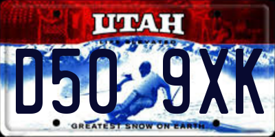 UT license plate D509XK
