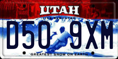 UT license plate D509XM