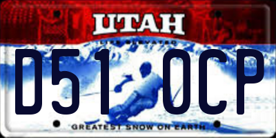 UT license plate D510CP