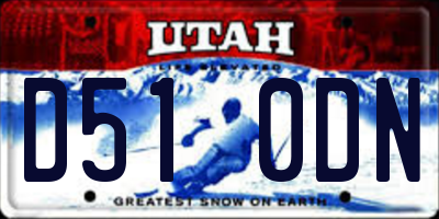 UT license plate D510DN