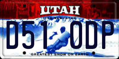 UT license plate D510DP