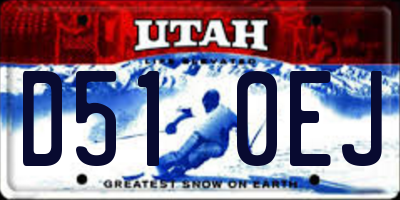 UT license plate D510EJ