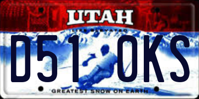UT license plate D510KS