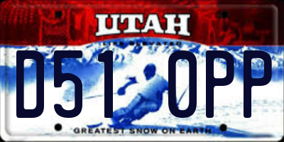 UT license plate D510PP