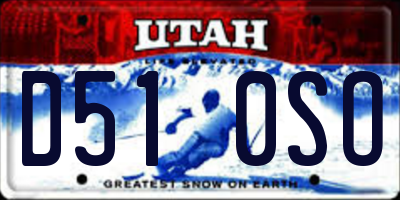 UT license plate D510SO