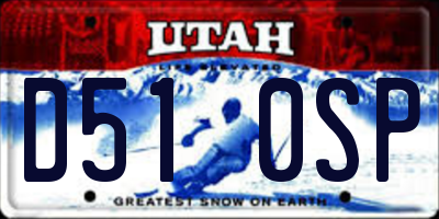 UT license plate D510SP