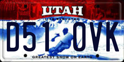 UT license plate D510VK