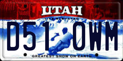 UT license plate D510WM