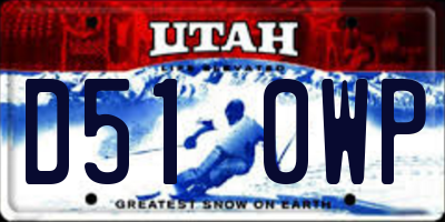 UT license plate D510WP