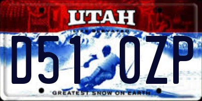 UT license plate D510ZP