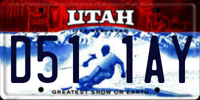 UT license plate D511AY