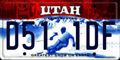 UT license plate D511DF
