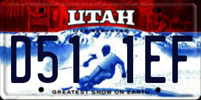 UT license plate D511EF
