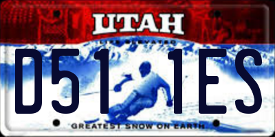 UT license plate D511ES