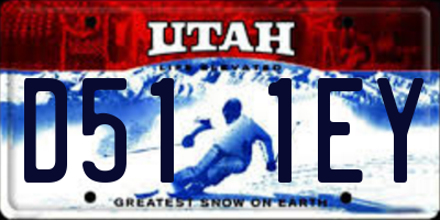 UT license plate D511EY